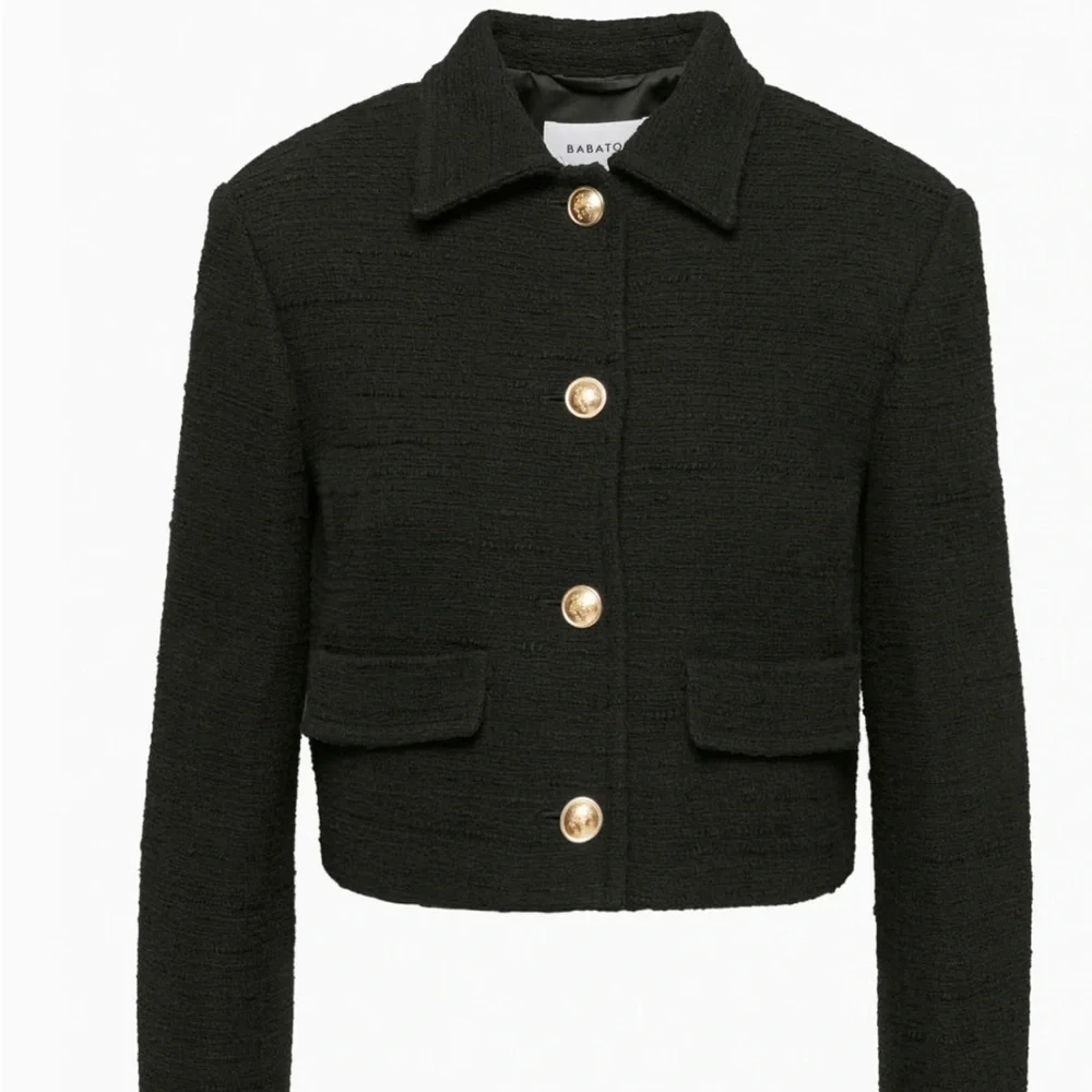 Aritzia Babaton Frances Black Blazer with Gold Buttons - Picture 2 of 8